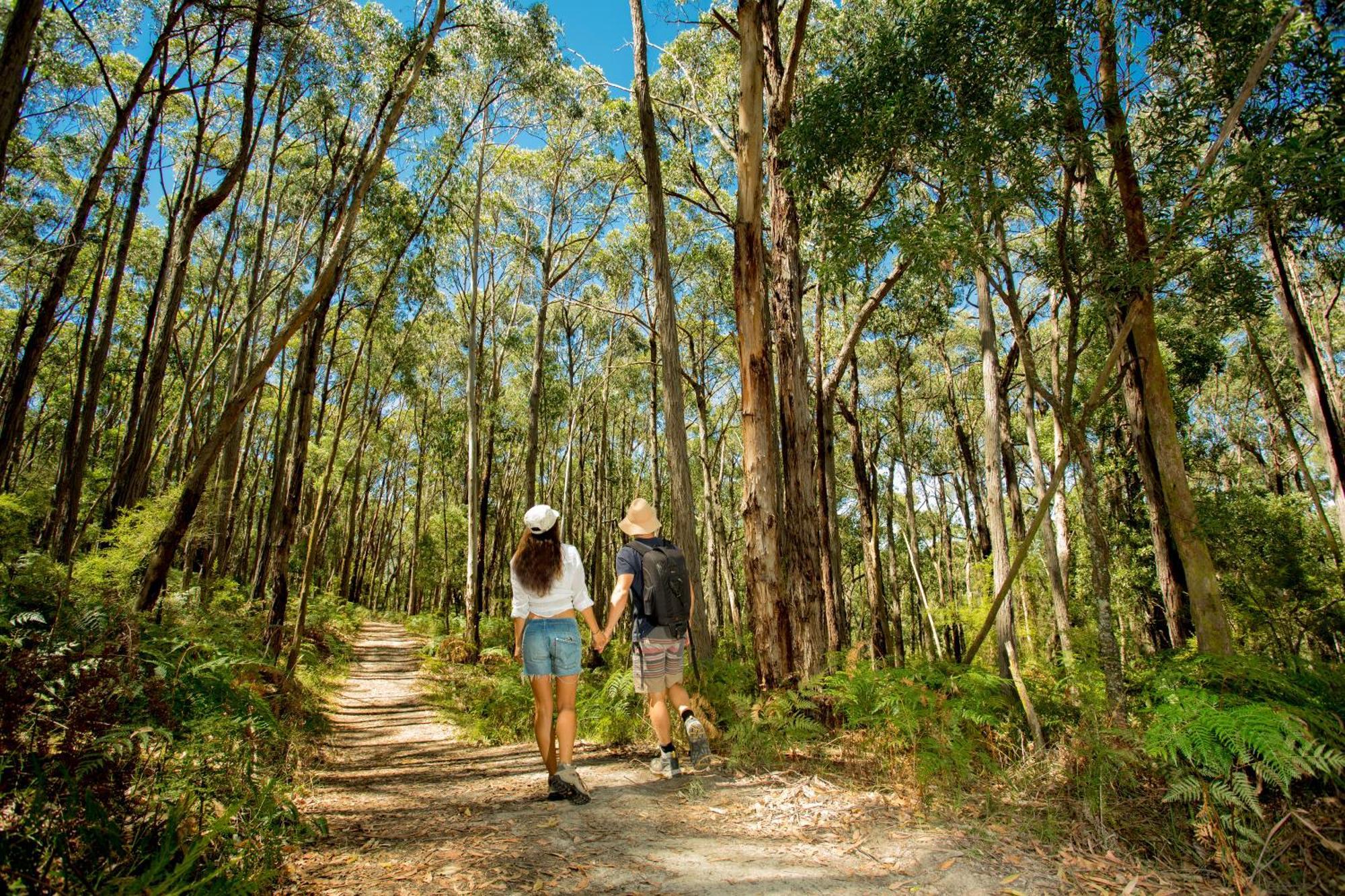 Big4 Yarra Valley Park Lane Holiday Park Healesville Eksteriør billede